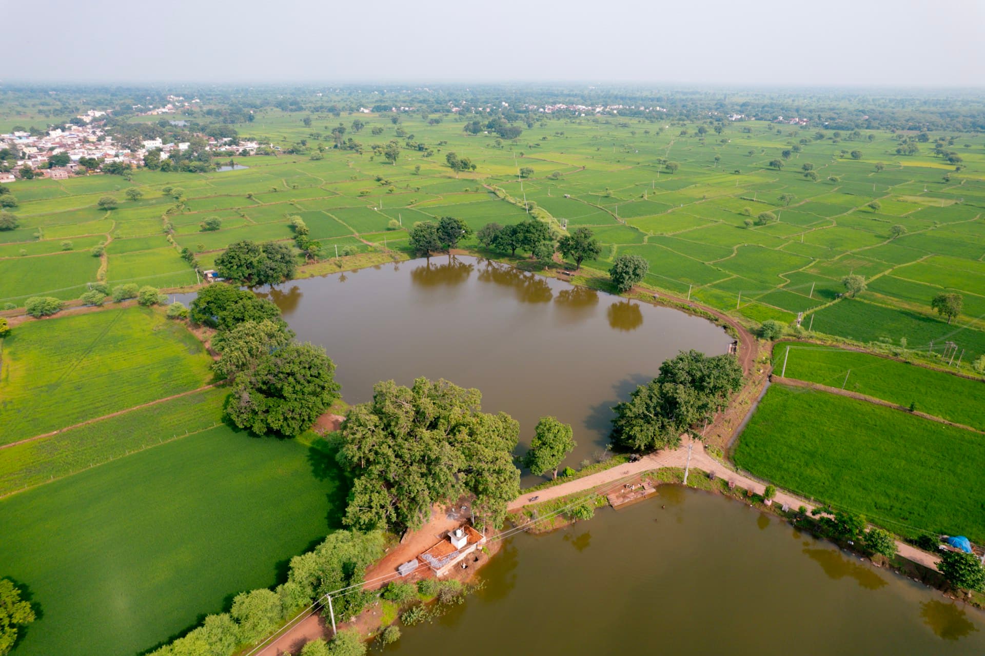 Aerial view of green farm fields and a pond in rural India