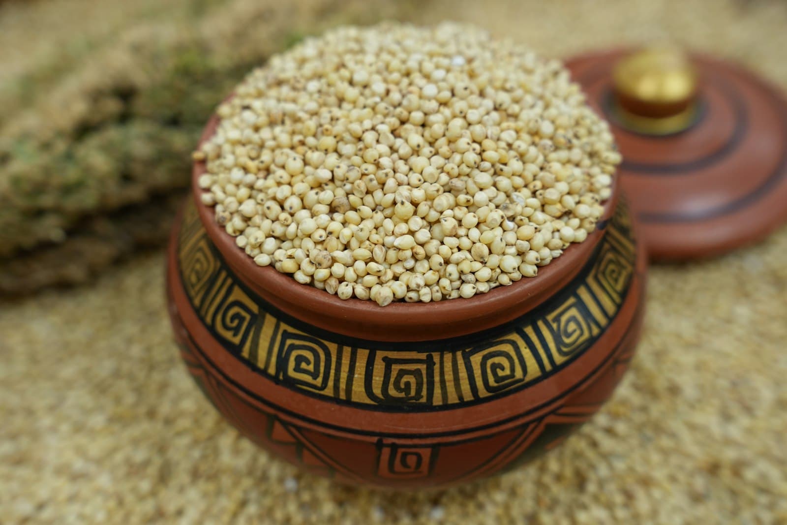 Whole millet grains in a traditional clay pot
